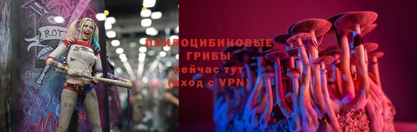 ГАЛЛЮЦИНОГЕННЫЕ ГРИБЫ Алексеевка