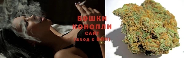 ГАЛЛЮЦИНОГЕННЫЕ ГРИБЫ Алексеевка