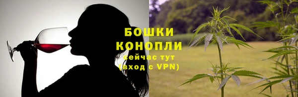 ГАЛЛЮЦИНОГЕННЫЕ ГРИБЫ Алексеевка