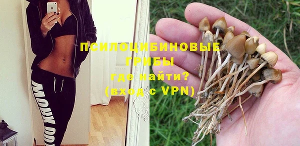 ГАЛЛЮЦИНОГЕННЫЕ ГРИБЫ Алексеевка
