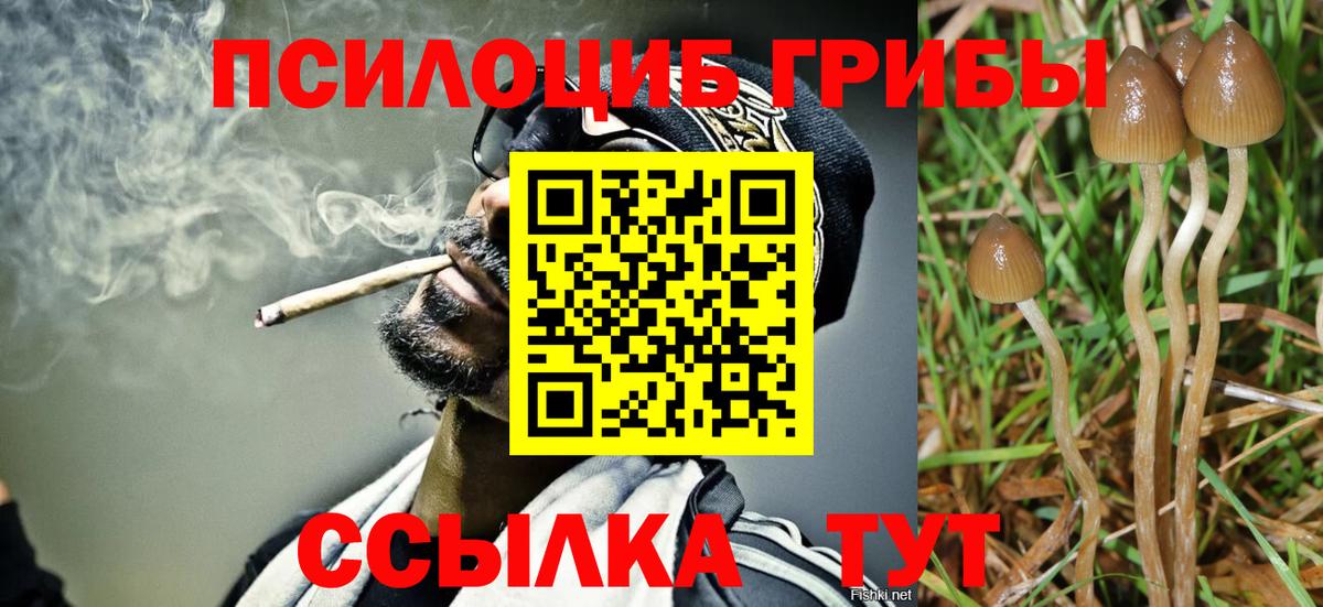 Галлюциногенные грибы MAGIC MUSHROOMS  Галлюциногенные грибы Psilocybine cubensis  Вход с VPN  Самара 