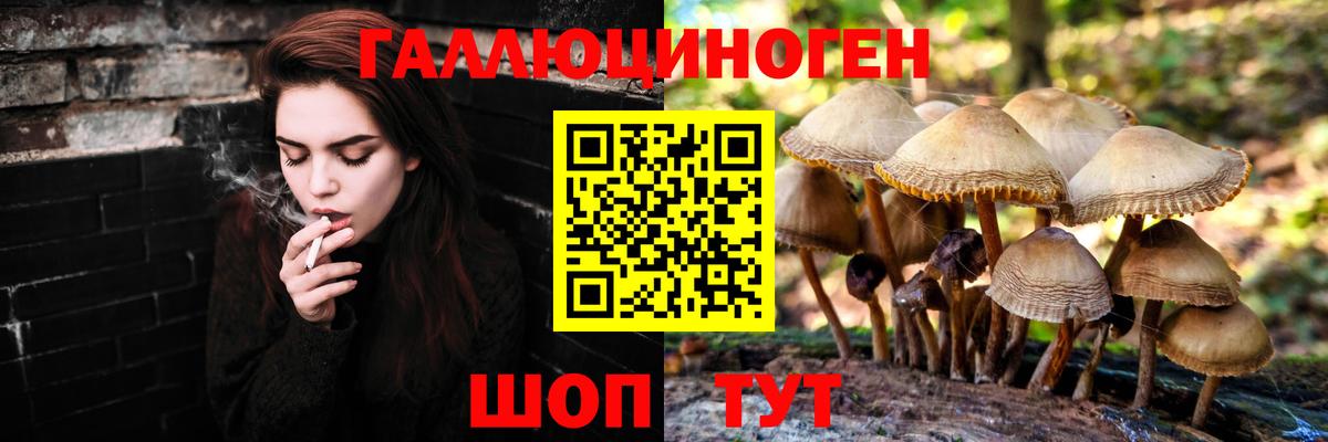 Галлюциногенные грибы мухоморы Самара