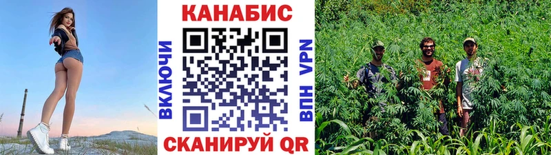 Бошки Шишки VHQ ОМГ ОМГ ссылки Самара